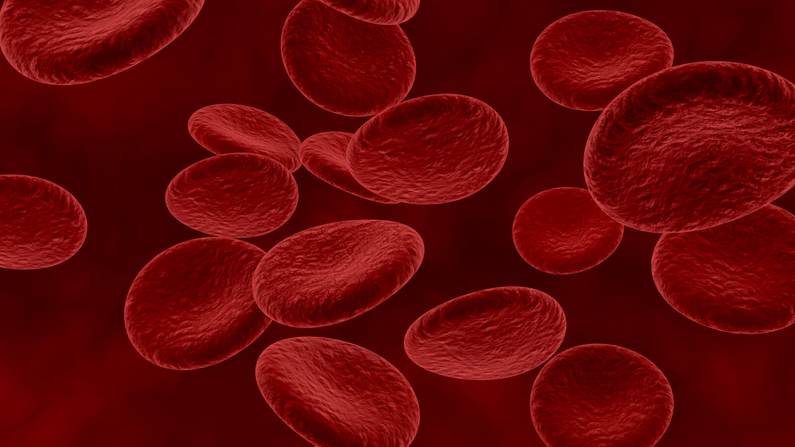 blood cells and bacteria